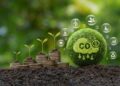 CLIMATE1 - The Brief | Namibia's Leading Business & Financial News Seedlings sprouting from stacked coins on soil beside a moss ball labeled CO2, symbolizing green investment and sustainability.