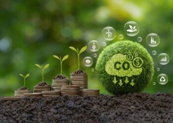 Seedlings sprouting from stacked coins on soil beside a moss ball labeled CO2, symbolizing green investment and sustainability.
