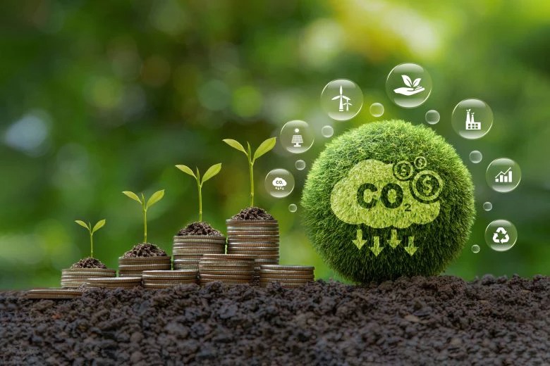 CLIMATE1 - The Brief | Namibia's Leading Business & Financial News Seedlings sprouting from stacked coins on soil beside a moss ball labeled CO2, symbolizing green investment and sustainability.