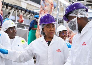 WhatsApp Image 2026-09-09 at 35227 PM - The Brief | Namibia's Leading Business & Financial News VIP visitors in white lab coats, purple hard hats, and hairnets tour a meat processing plant with hanging carcasses.