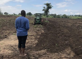 FARMING1 - The Brief | Namibia's Leading Business & Financial News Man in a blue shirt standing barefoot as a green tractor digs a long trench in a tilled field under a blue sky.