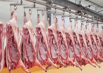 PORK - The Brief | Namibia's Leading Business & Financial News Rows of beef carcasses hanging on a processing line in a meatpacking facility.