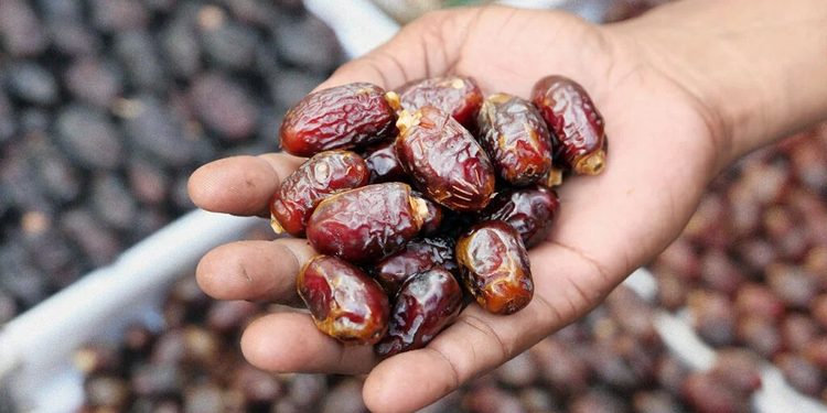 A hand cupping a handful of glossy brown dates, with more dates in the blurred background.