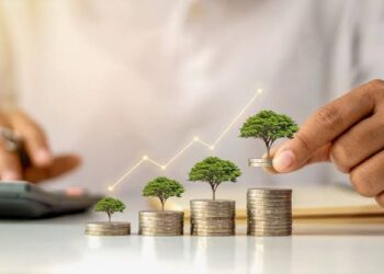 INVESTMENT - The Brief | Namibia's Leading Business & Financial News Progressive coin stacks topped with small trees and a rising line graph, symbolizing financial growth and investment returns.