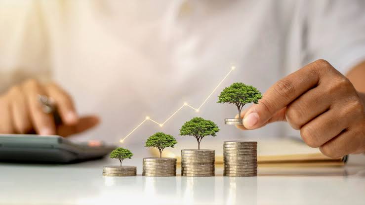 INVESTMENT - The Brief | Namibia's Leading Business & Financial News Progressive coin stacks topped with small trees and a rising line graph, symbolizing financial growth and investment returns.