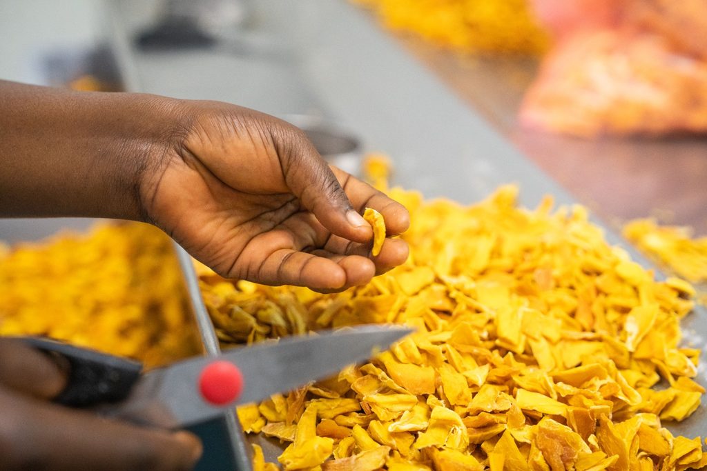 MANGO - The Brief | Namibia's Leading Business & Financial News Close-up of a hand picking a yellow snack chip from a pile of fried chips on a production belt.