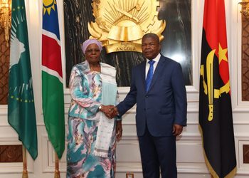 WhatsApp Image 2026-10-14 at 55106 PM - The Brief | Namibia's Leading Business & Financial News Two officials shake hands in a formal government setting, with a gold emblem behind them and multiple national flags on either side.