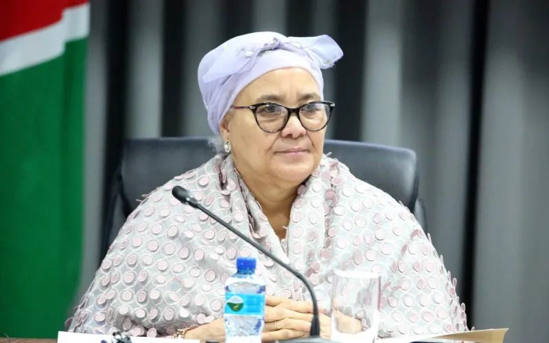 LUCIA WITBOOI - The Brief | Namibia's Leading Business & Financial News Woman wearing a light patterned hijab and glasses sits at a table with a microphone, water bottle, and glass in front, in a conference setting.