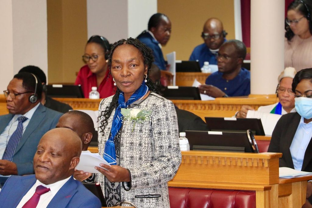 SHAFUDAH7 - The Brief | Namibia's Leading Business & Financial News Woman standing with papers at a formal meeting, speaking to colleagues seated around a conference desk.