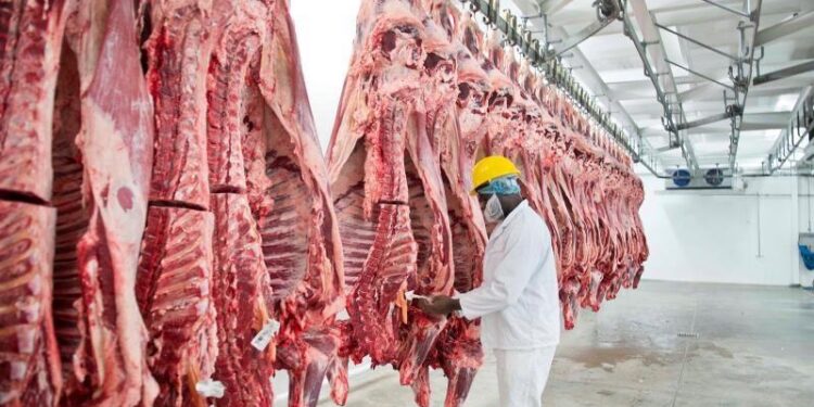 Worker in protective gear inspecting hanging beef carcasses in a meat processing plant. (PPE: white suit, yellow helmet, mask)