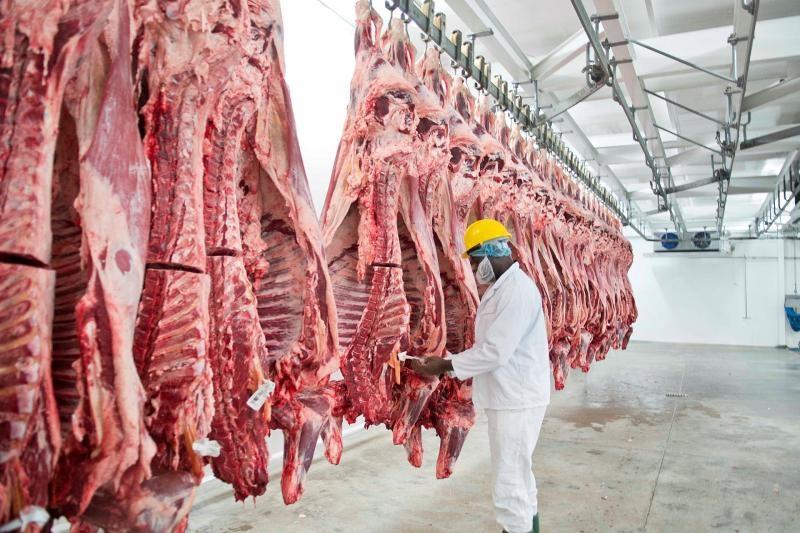 BEEF1 - The Brief | Namibia's Leading Business & Financial News Worker in protective gear inspecting hanging beef carcasses in a meat processing plant. (PPE: white suit, yellow helmet, mask)